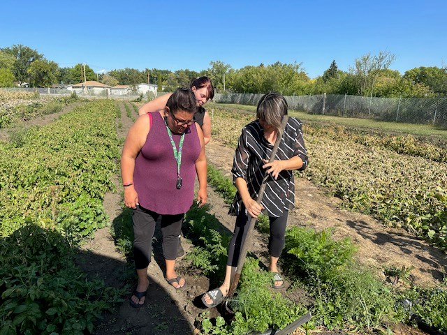 Tracy Benson (BATC) and Vesna Fa survey the garden as Midwest Food Resources prepares for their annual pumpkin festival