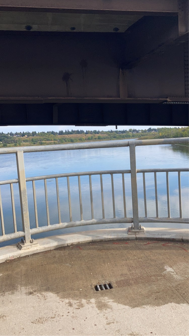 pathway-under-circle-drive-bridge