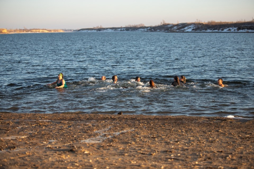 polar bear swim dip