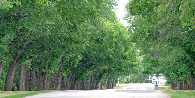 Sask. Drive-6813