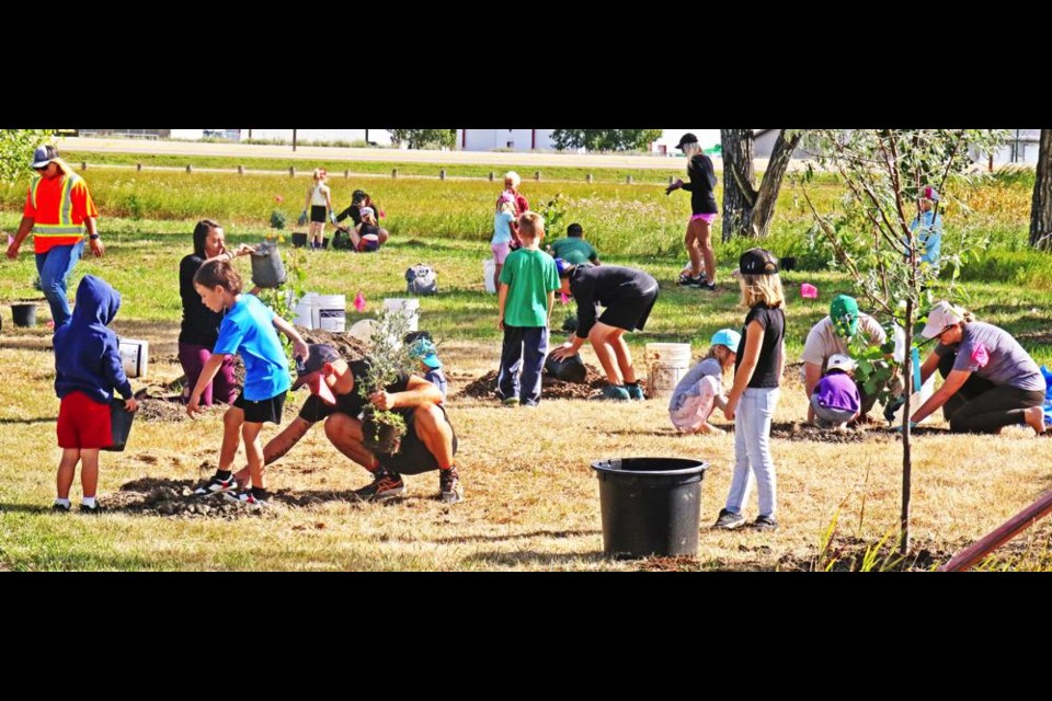 Several families came out to plant 135 trees on Saturday morning in Weyburn's Tatagwa Parkway, with prizes and a barbecue provided to the participants.