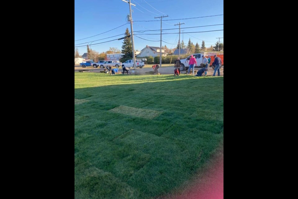 New sod was laid thanks to volunteers, as part of the development of the downtown park.