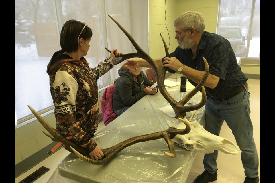 Floyd Hendrickson of Margo was assisted by Kate Lockert at the annual antler measuring for the River Ridge branch of the Saskatchewan Wildlife Federation held on Dec. 11 at the Canora Golf Course Activity Centre.