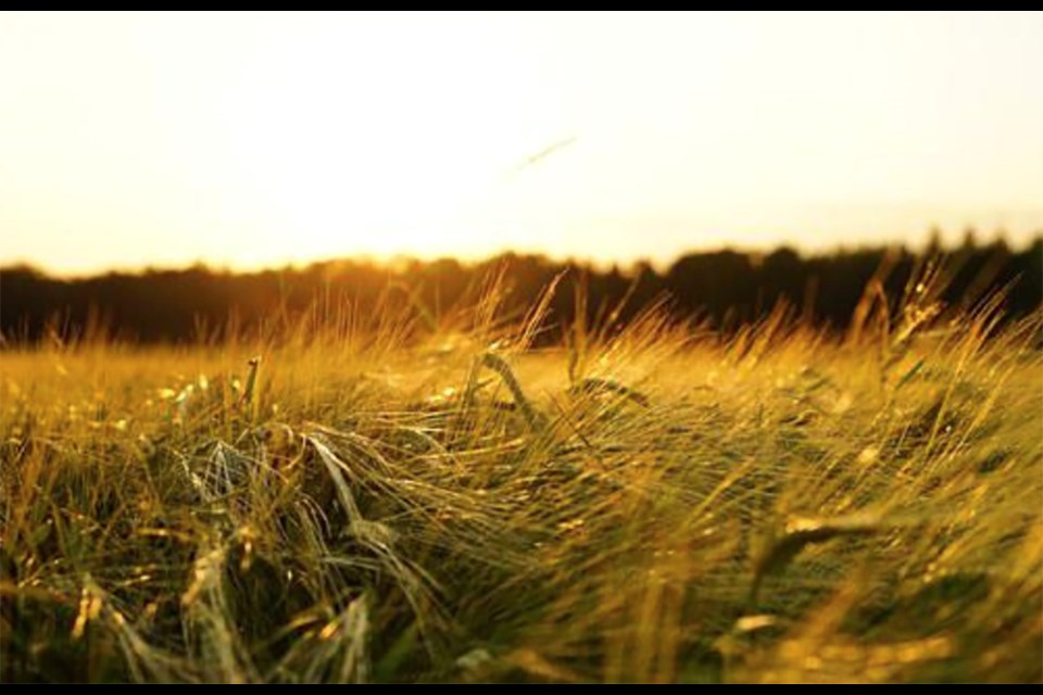 Saskatchewan has warned the federal government to stop trespassing on farmers' land or face criminal charges. 