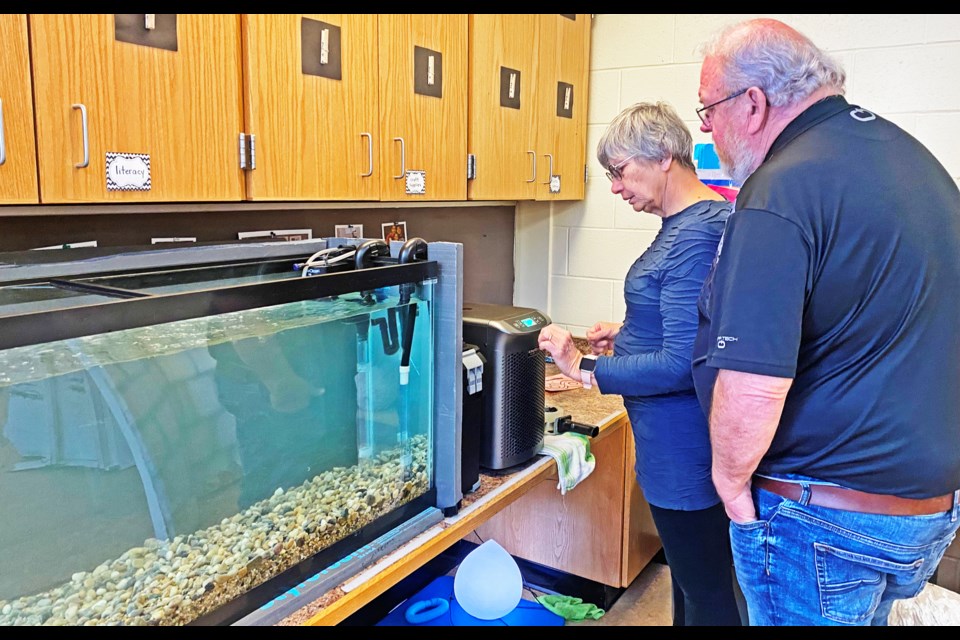 Larry and Judy Olfert of the Weyburn Wildlife Federation helped to set up this fish tank in teacher Candice Porter’s room at St. Michael School for the FINS (Fish in School) program.