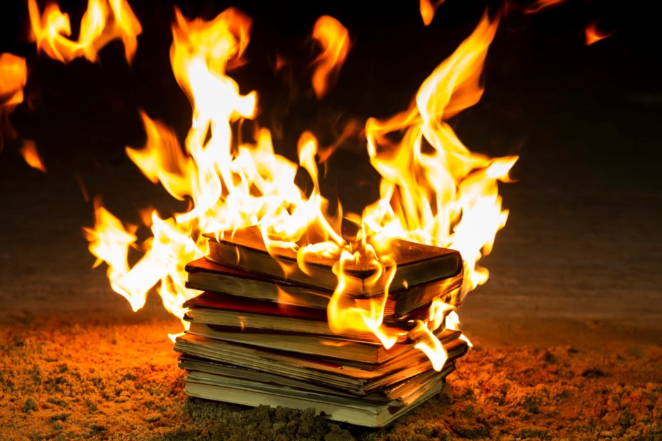 burningbooks0124
