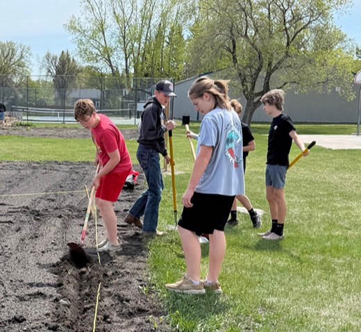 Spring is planting season for farmers, gardeners, and also for the students at Canora Composite School. On May 23, Grade 7 and 8 CCS students were photographed planting a variety of food seeds and plants, including: beets, onions, beans, cucumbers, dill, zucchini, potatoes (red, russet and Yukon gold), corn, tomatoes, carrots, peppers, and peas. 