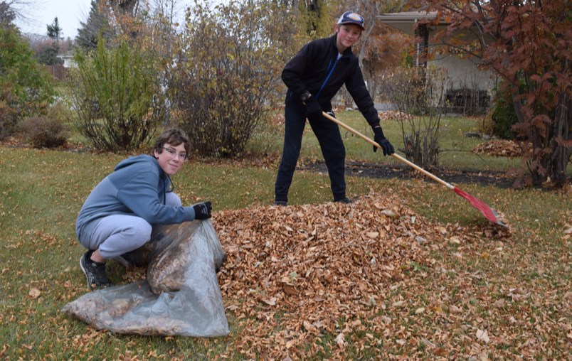 ccs-leaves-cleanup-raking