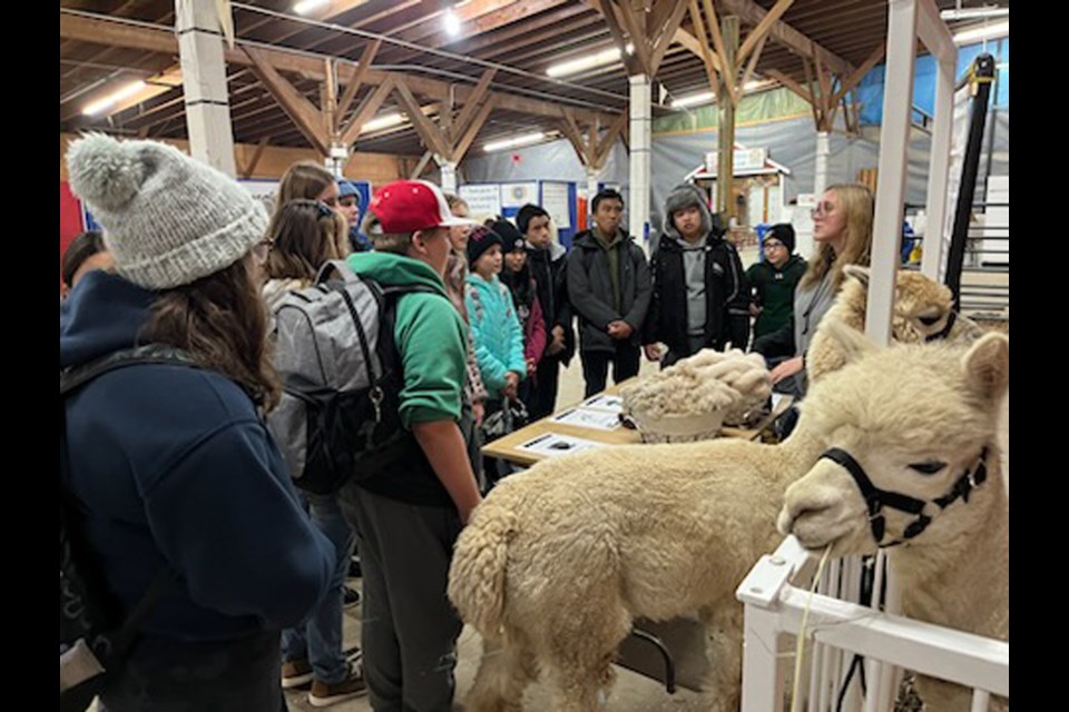 Invermay School students who attended the Grain Millers Showdown in Yorkton had the opportunity to get up close and personal with alpacas, and also see and learn about a number of other animals.