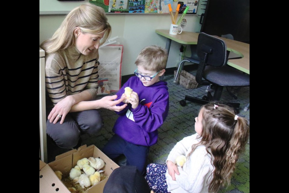 Teacher Jayme Payak had students Caleb Eberts and Scarlett Stewart hold little chicks in kindergarten class on Thursday.