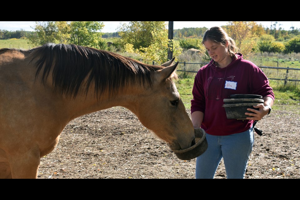 Alina Wissing of Germany, who as a member of the World Wide Opportunities on Organic Farms (WWOOF) program, is spending six weeks working at Ravenheart Farms near Kamsack, where she helps Carol Marriott conduct equine-assisted learning programs. 