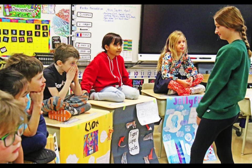 Olivia, a Grade 7 student, had a look at these Grade 2 students' posters on animals on Friday in Mrs. Klein's class.