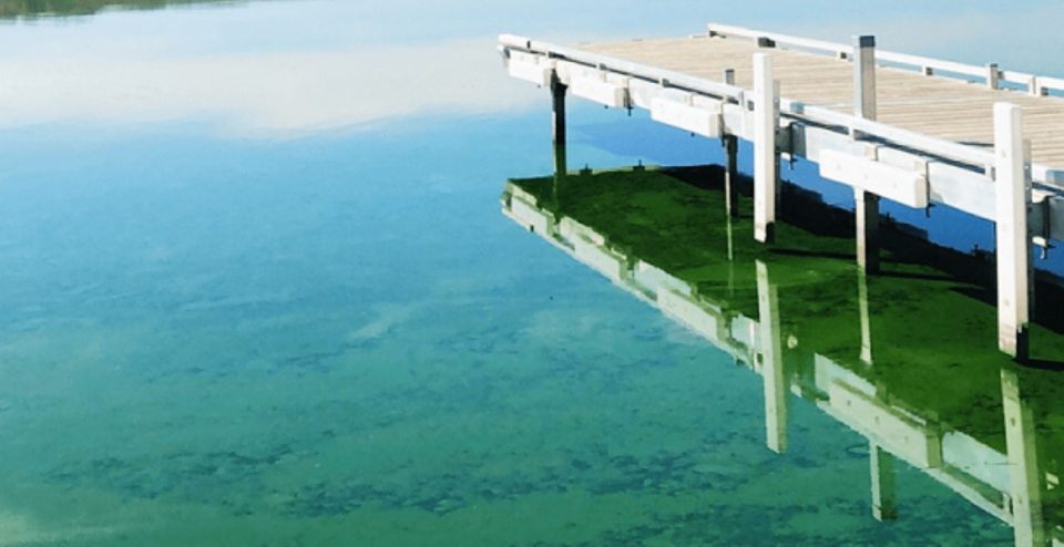 algae crooked lake  