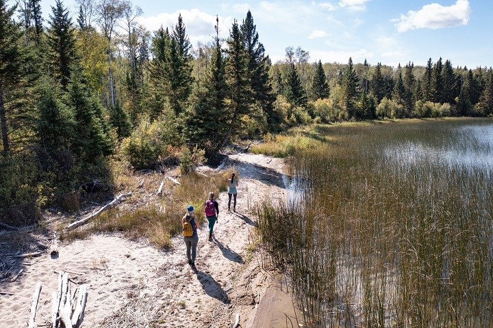 back-in-the-boreal