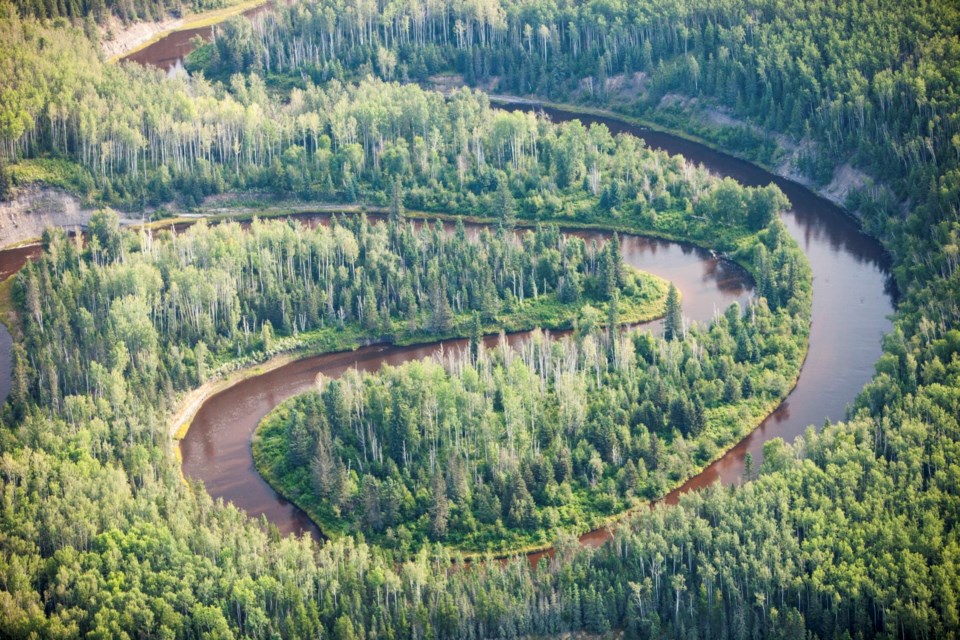 borealforest0523