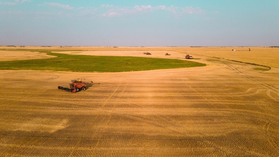 Durum Harvest