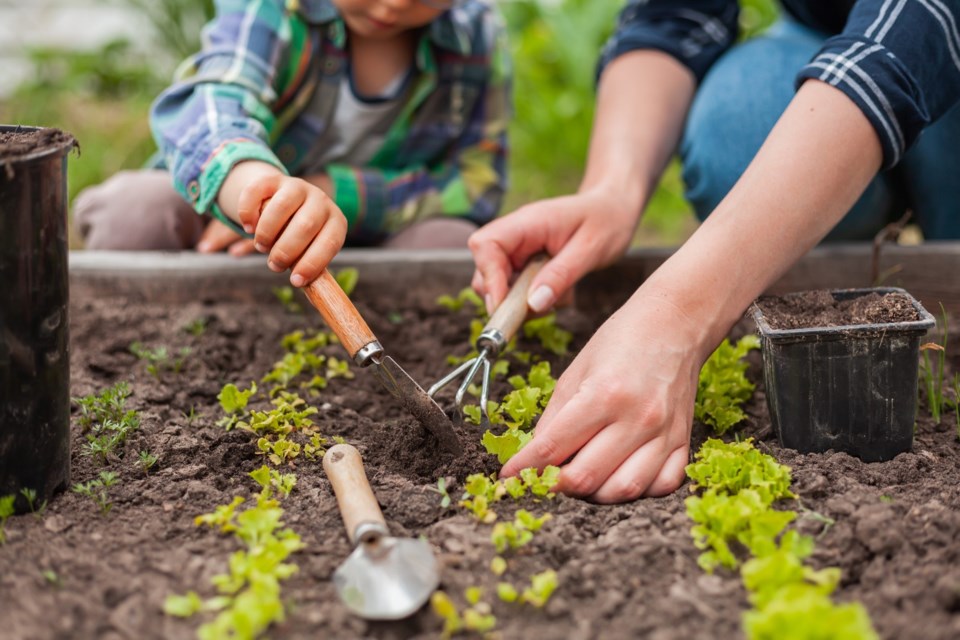 gardenspace-0223