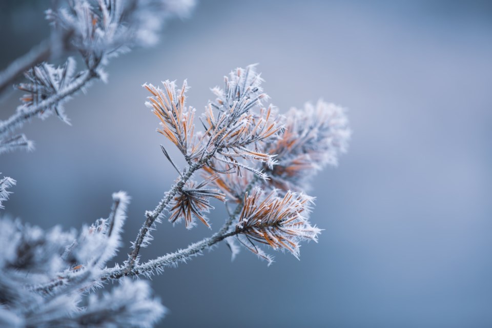 hoarfrost0123