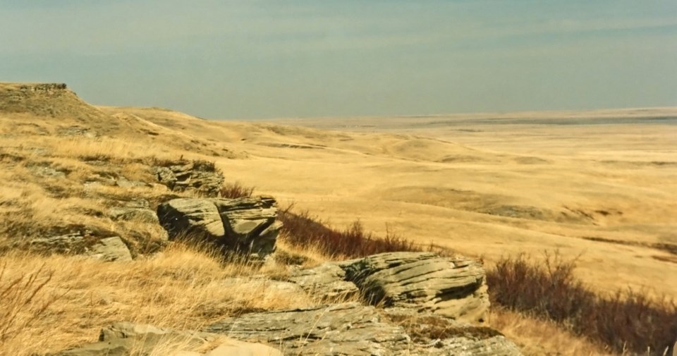 native prairie grassland