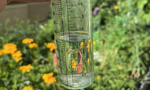 West side of Saskatoon just off of 33rd street from July 6 afternoon and evening rainfall shows almost two inches.