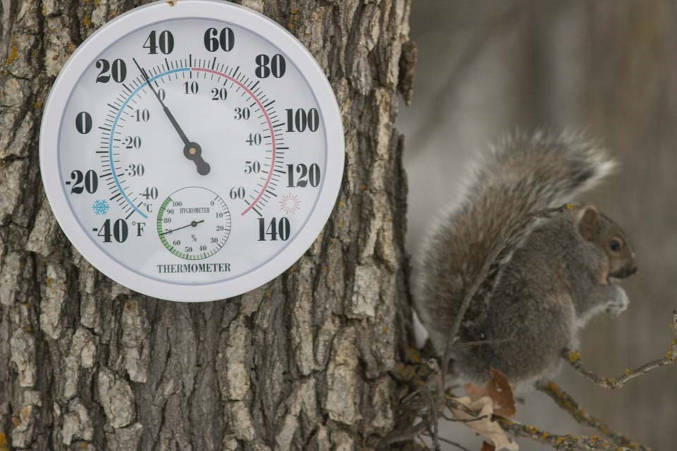 weather-thermometer-0825
