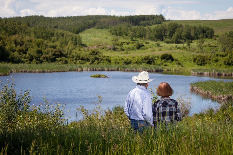 Wetlands sequester carbon and filter water, support pollinators and biodiversity, and provide habitat for countless wildlife including many species at risk.