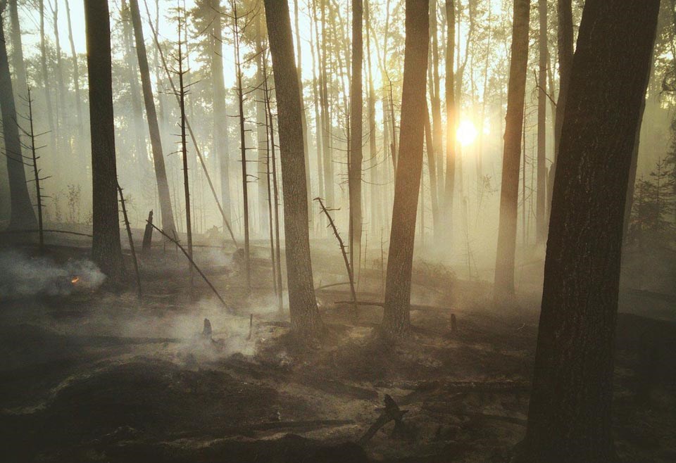 wildfire-global-warming