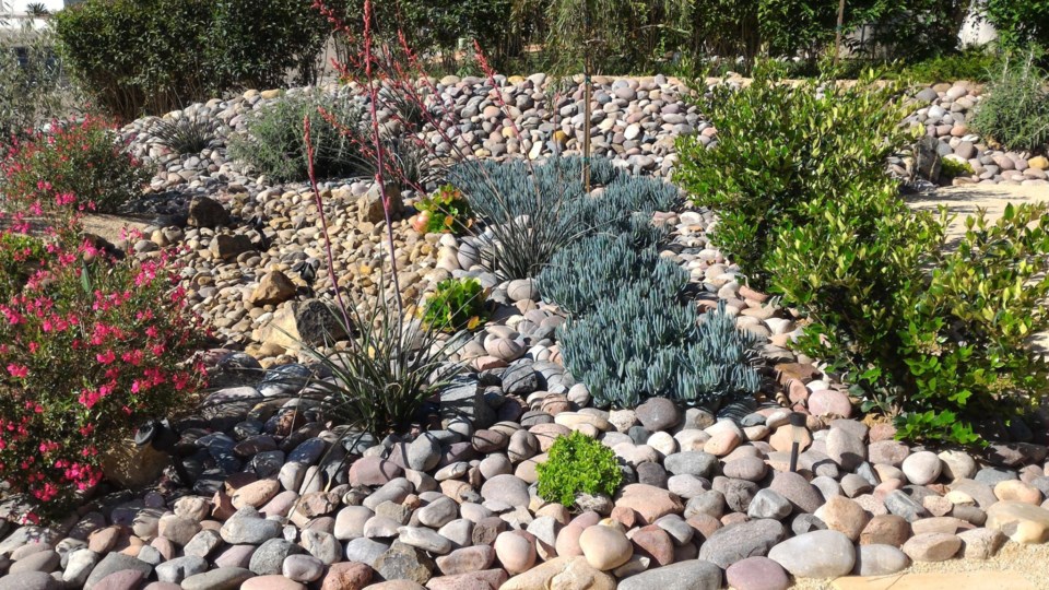 xeriscape0123