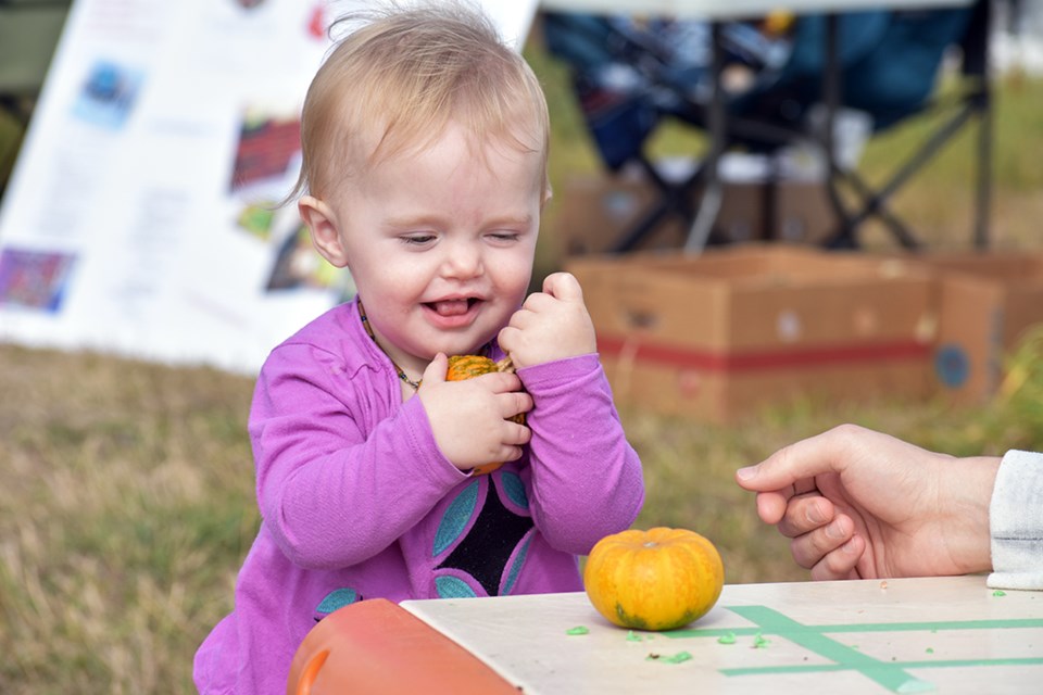 Midwest Food Resource's second annual pumpkin festival in North Battleford was held Sept. 23. A young girl plays Xs and Os with mini gourds in the Kids Play Section at the pumpkin festival.