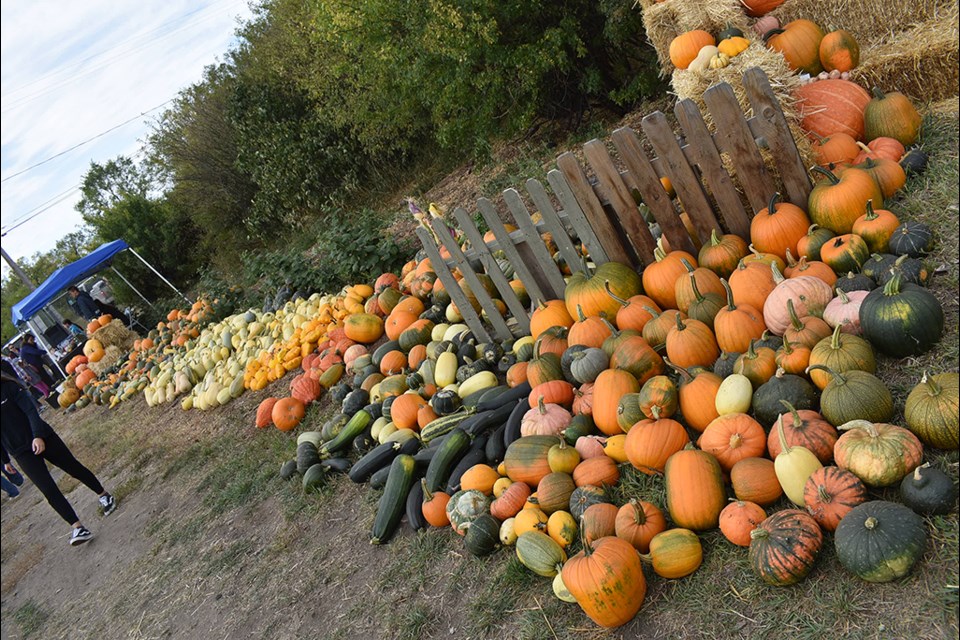 Produce from the Midwest Food Resources Community Garden.