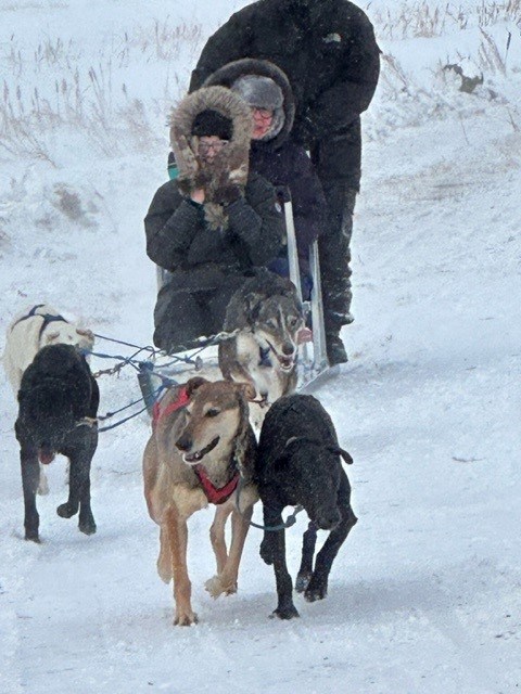 Marie Heidt shows that all generations of people could enjoy a dog sled ride, attending an event held in Kerrobert March 9.