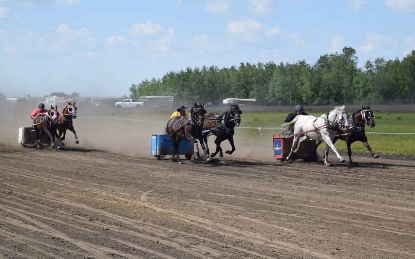 After an absence of several years, the sound of thundering hooves and the excitement of intense competition returned to the Canora Sports Grounds on Aug. 20-21. There were plenty of thrills during two days of chariot and chuckwagon races, as well as junior and senior gymkhana competitions. See next week’s Canora Courier for more photos and the full story.