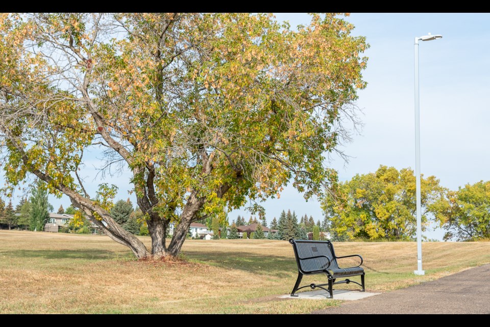 The Megan Phillips Burnett memorial bench sits under a tree and is a nice place for people to come and reflect.