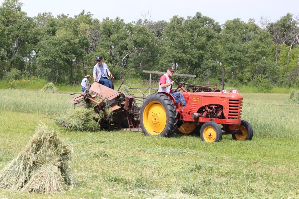 Binding the crop and plowing the field.