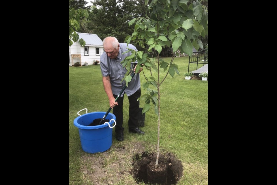 Lorne Sliva planted the centennial tree as part of the St. Anthony’s centennial celebration.