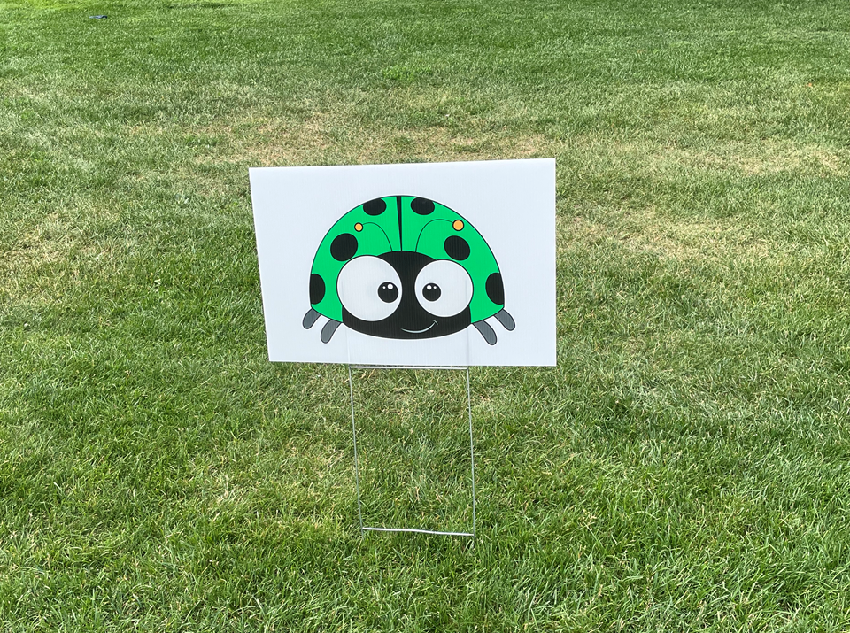 city-of-regina-lady-bug-release-event