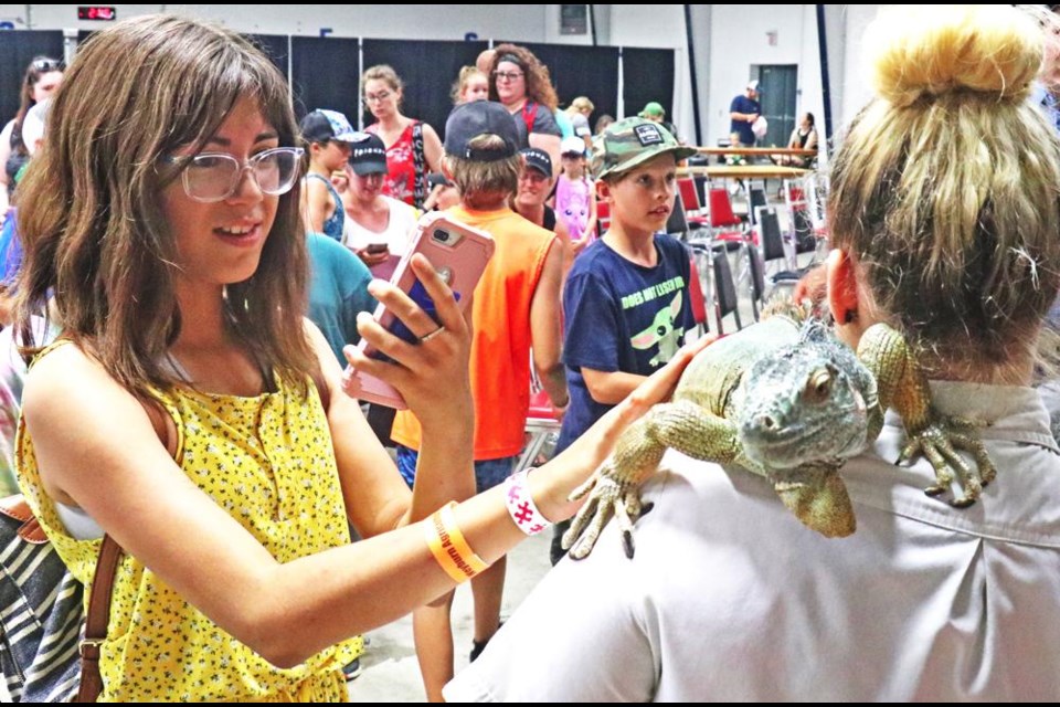 A girl takes a closeup photo of herself petting an iguana, at the Adventure Wranglers Reptile Show at the Weyburn Fair.