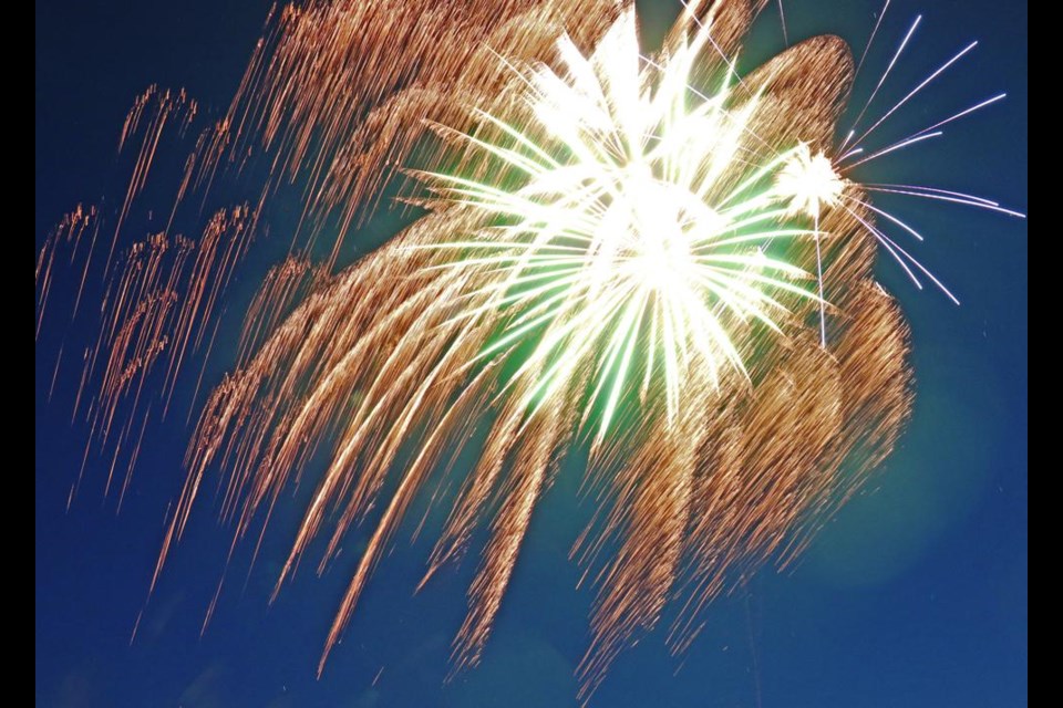 Some fireworks resembled a flower opening at the display in 2022.