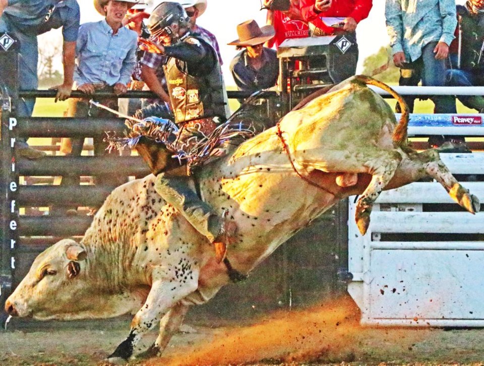 midale-bull-bash-aaron-8244