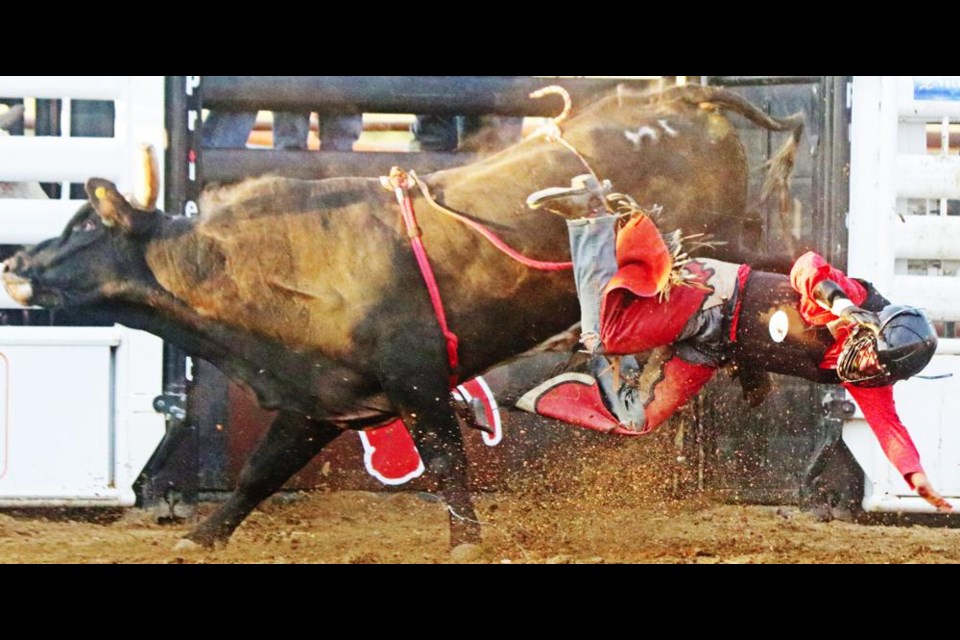 Bull rider Wyatt Kennedy of McAuley, Man., headed for the dirt in this attempt at the Midale Bull Bash on Friday.