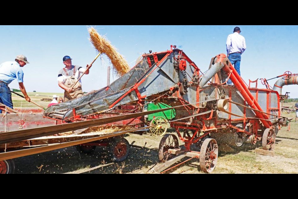 A volunteer crew fed and operated a threshing machine, powered by a belt hooked up to a tractor, during Midale's Pioneer Echoes event on Saturday.