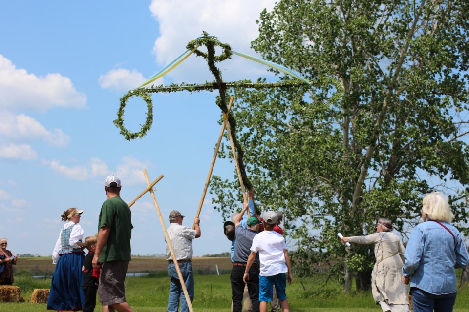 The raising of the Maypole by festival attendees.