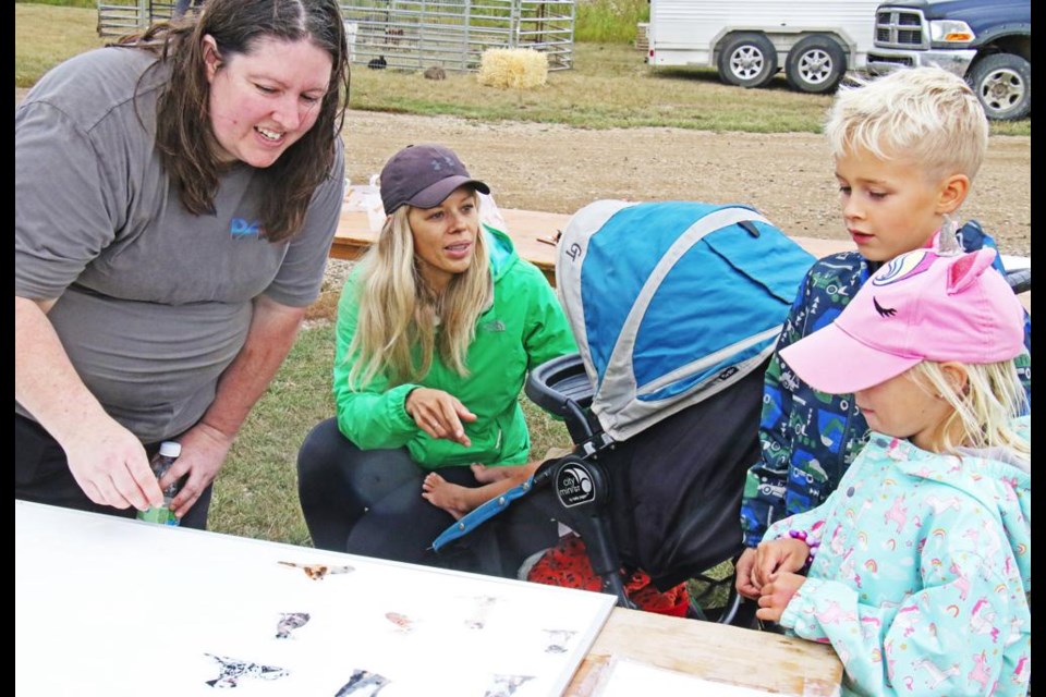 Harrison and Makenna Hoium, at right, had a look at pictures of bugs and guessed what their names were, as mom Kayla looked on, at the PAHC open house on Wednesday.