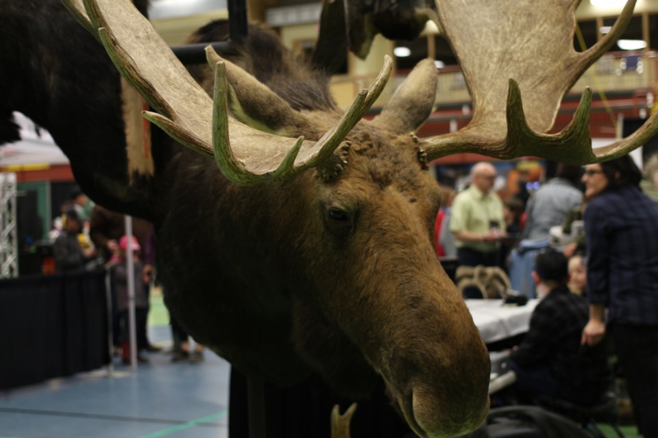 Taxidermists had their trophies on display.