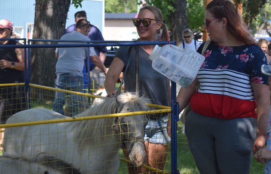 The Good Spirit Petting Zoo brought a variety of animals to the Canora Live & Play Street Festival on Aug. 20, including these popular horses.