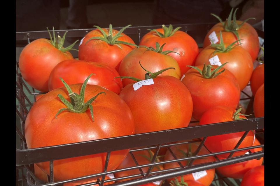 Thousands of people took part in the Tomato Festival in Regina on Saturday.
