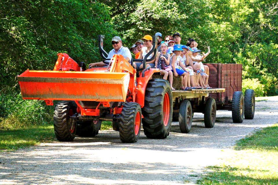 Many visitors travelled the park, sitting on bales during hayrides.                               
