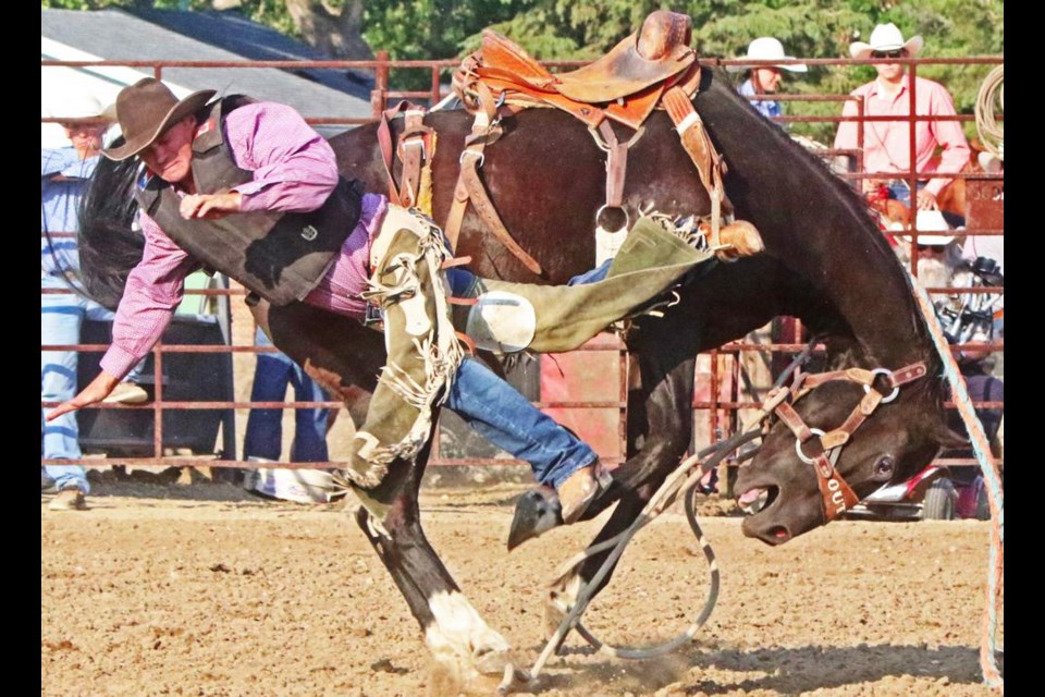 Luke Lelond of Miniota, Man., took no time on his saddle bronc ride on Thursday evening.