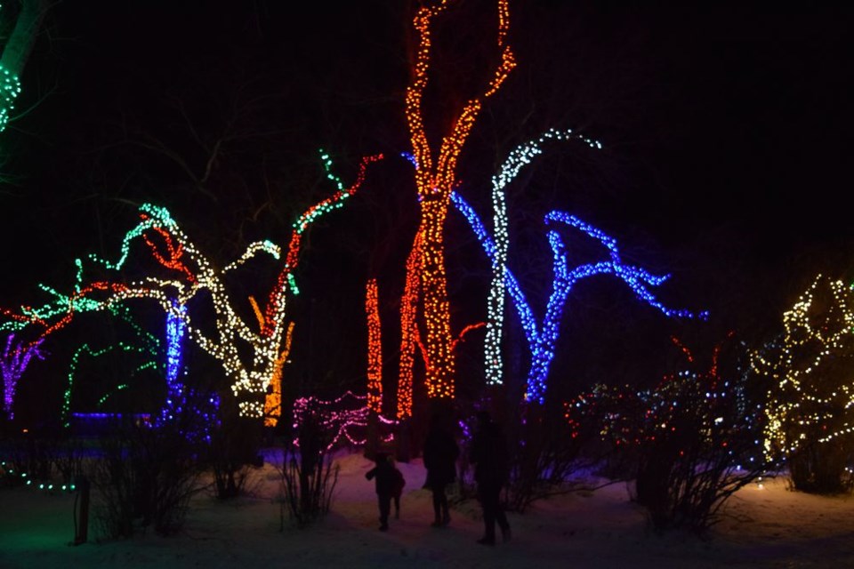 The Town of Canora hosted Light Up Canora COVID-Style & Shop Local Night on December 4, with many things for everyone to see and do. One of the most popular stops was the multi-coloured light display at King George Park. More photos of the festivities will be included in the Canora Courier’s Christmas issue being distributed on December 23. / Rocky Neufeld