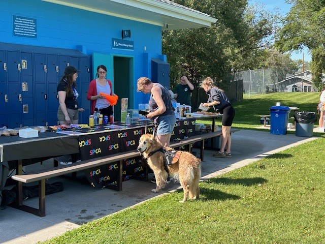 spca-bbq-and-bake-sale